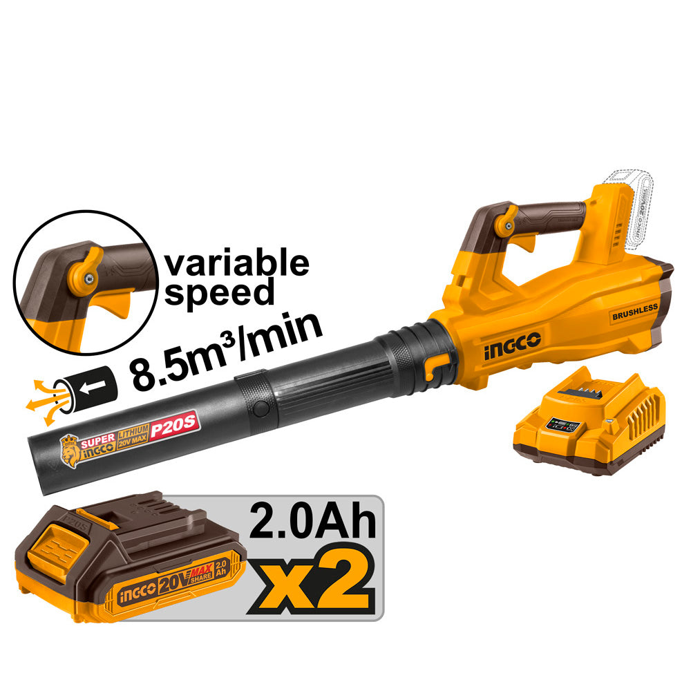 000000035515