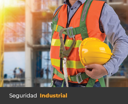 seguridad